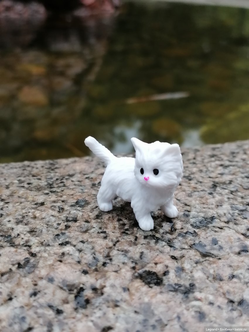 Лурения: семья кошки Шекер🐈