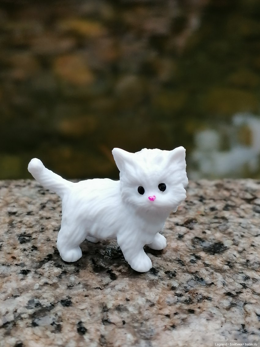 Лурения: семья кошки Шекер🐈