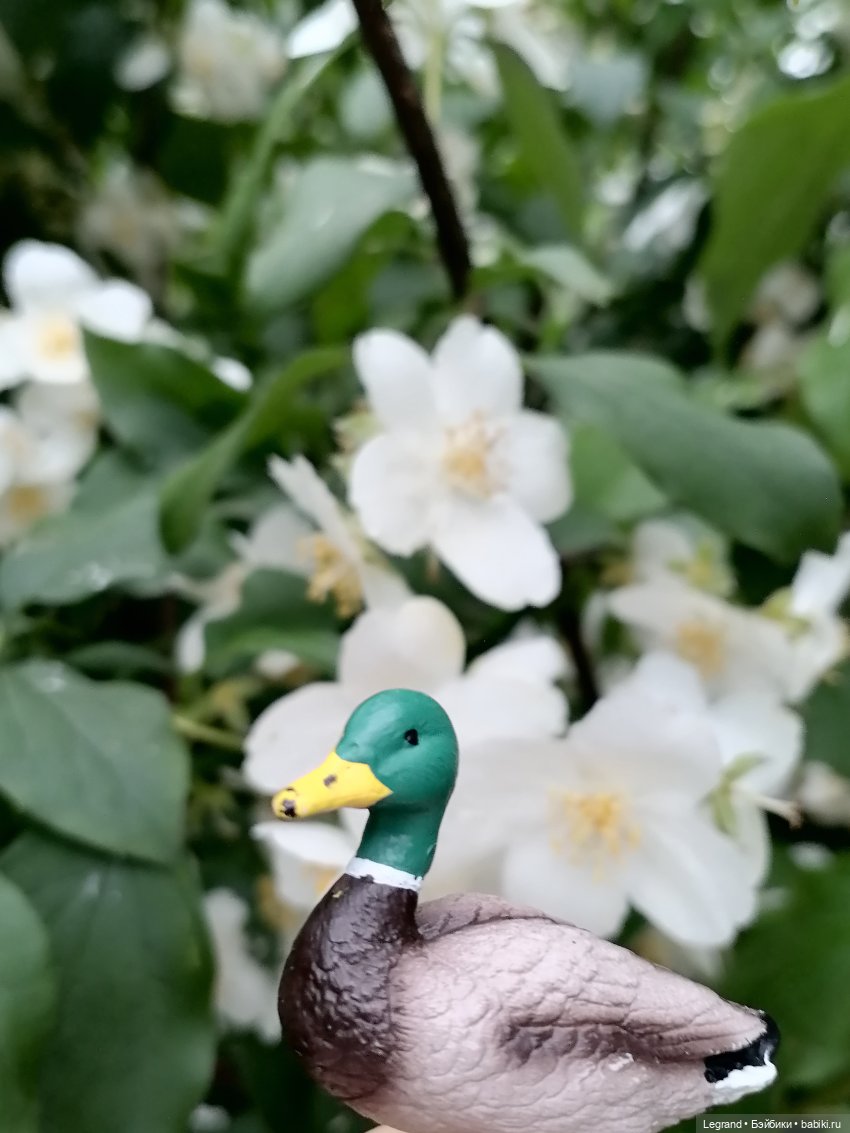 Лурения - Петербург: Рюзгяр и Барин в Таврическом саду