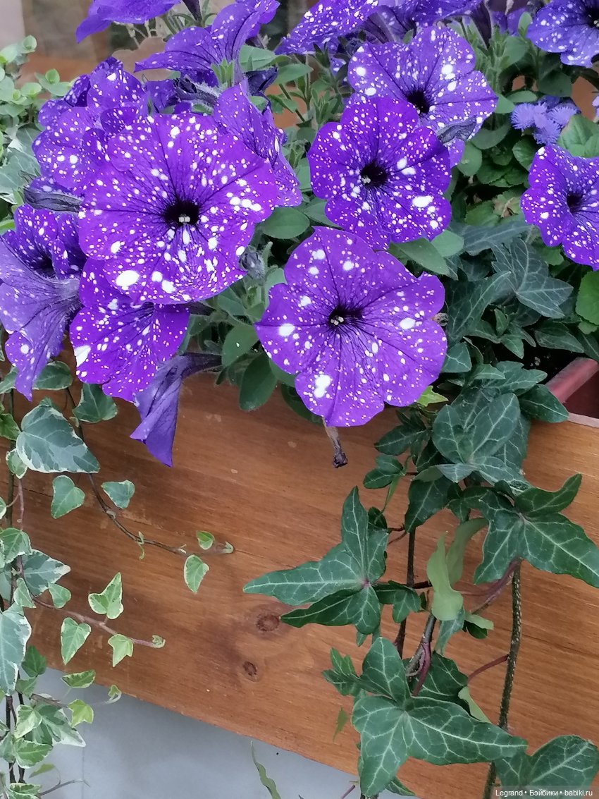 Лурения - Верхний сад: прогулки и встречи