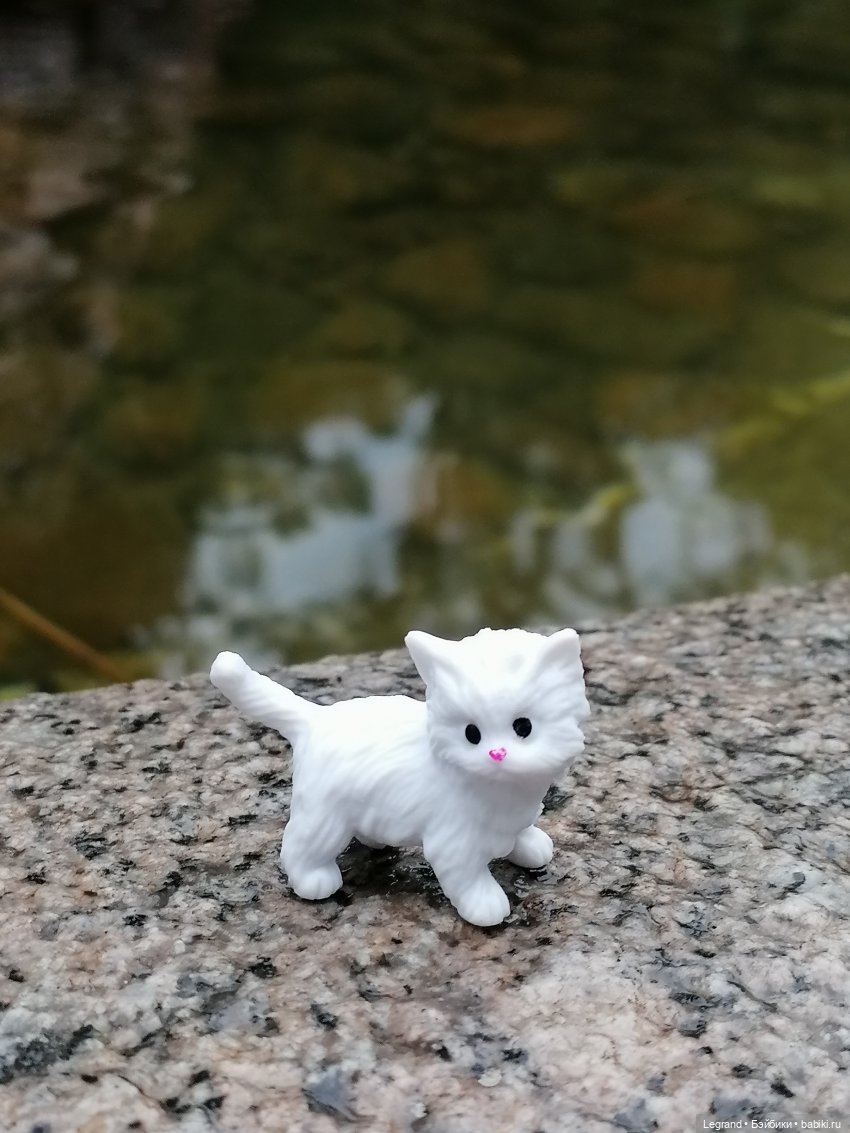 Лурения: семья кошки Шекер🐈