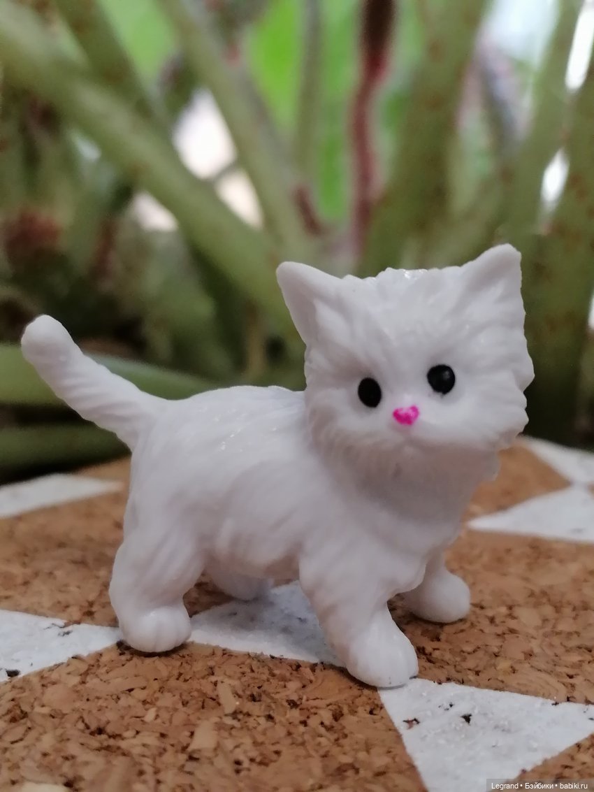 Лурения: семья кошки Шекер🐈