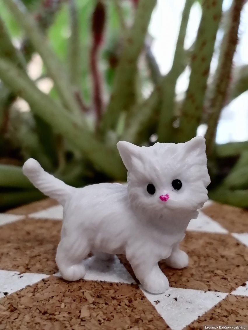 Лурения: семья кошки Шекер🐈