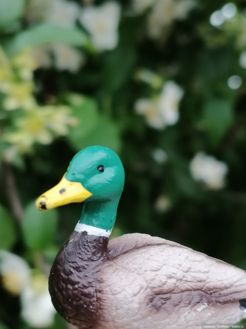 Лурения - Петербург: Рюзгяр и Барин в Таврическом саду