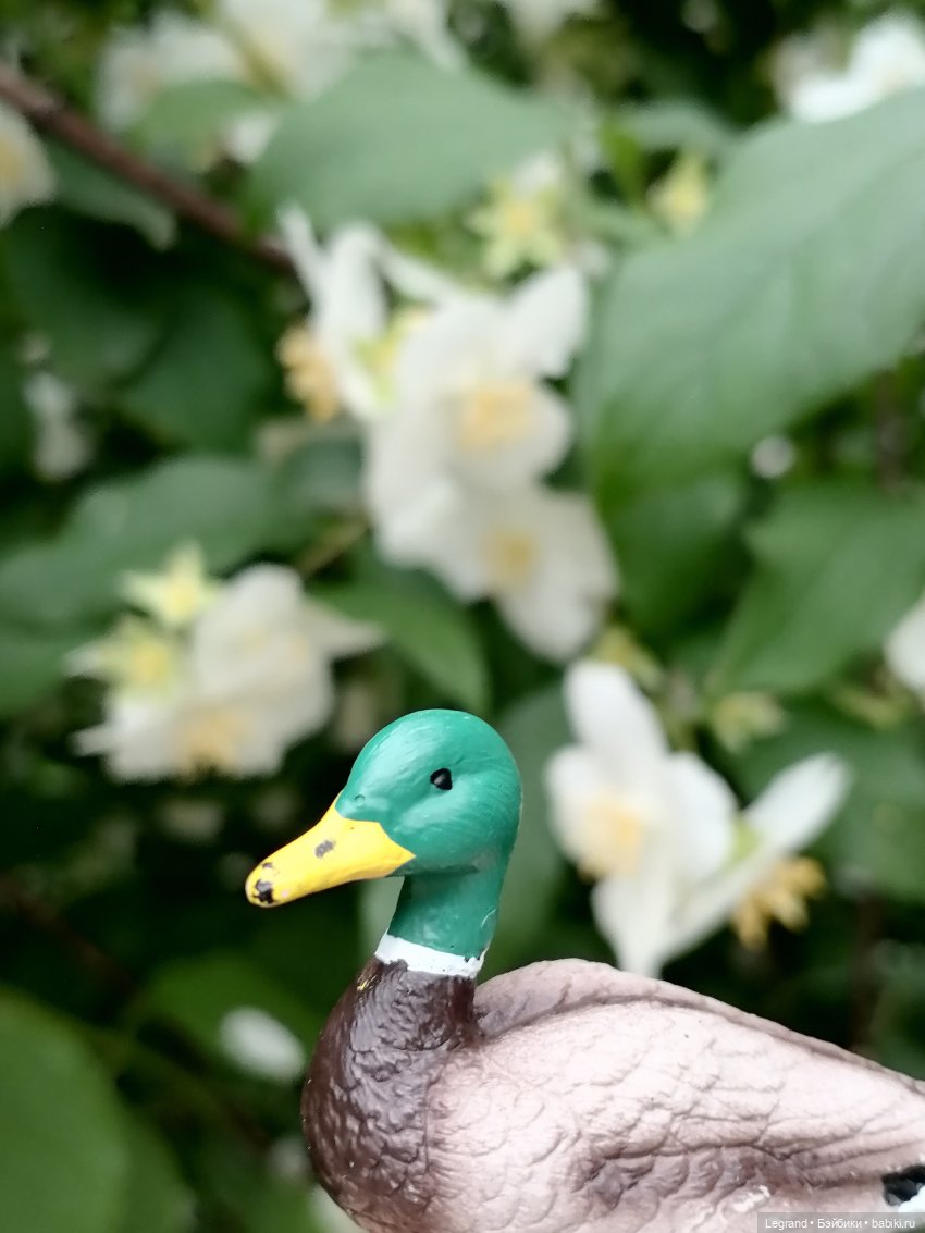 Лурения - Петербург: Рюзгяр и Барин в Таврическом саду