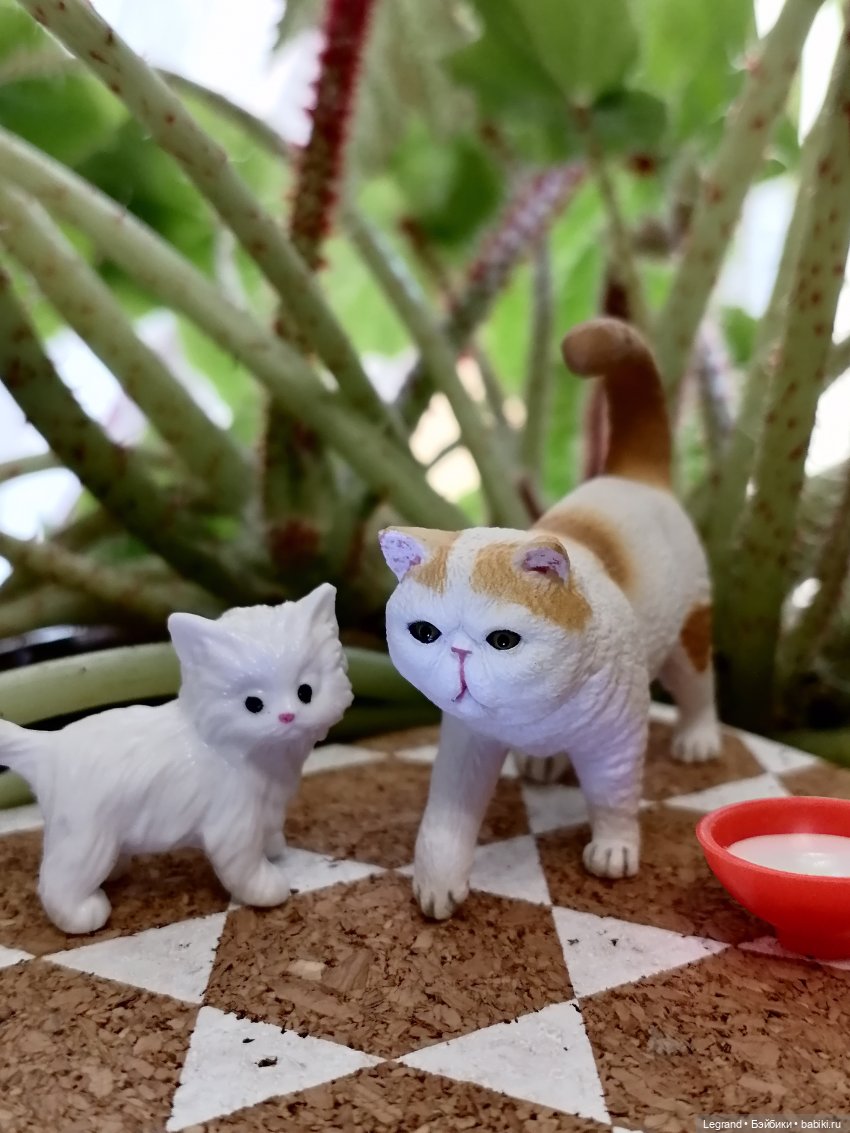 Лурения: семья кошки Шекер🐈