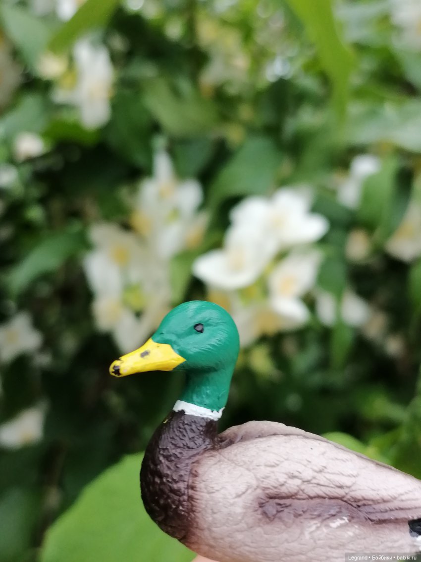 Лурения - Петербург: Рюзгяр и Барин в Таврическом саду