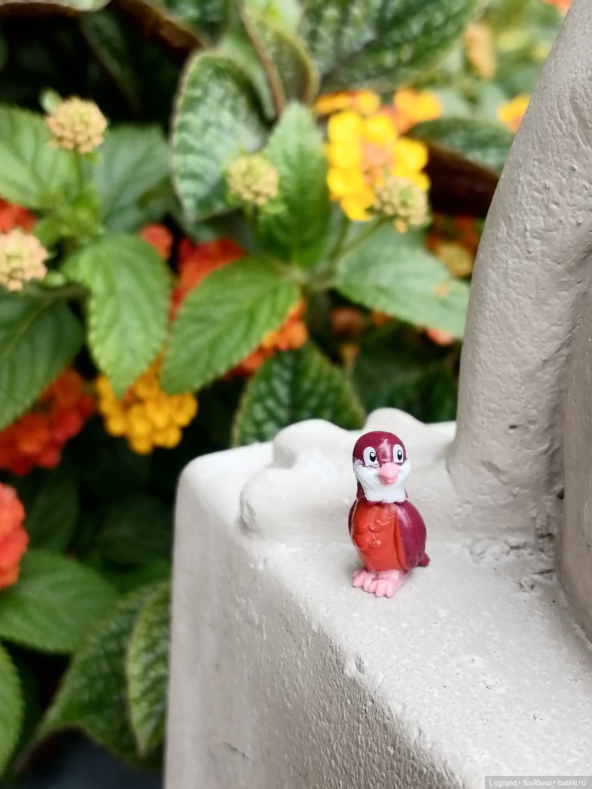 Лурения - Петербург: Птица и Отто в Парадном квартале (фото 8)