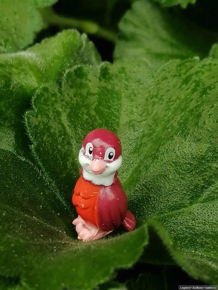 Лурения - Петербург: Птица и Отто в Парадном квартале