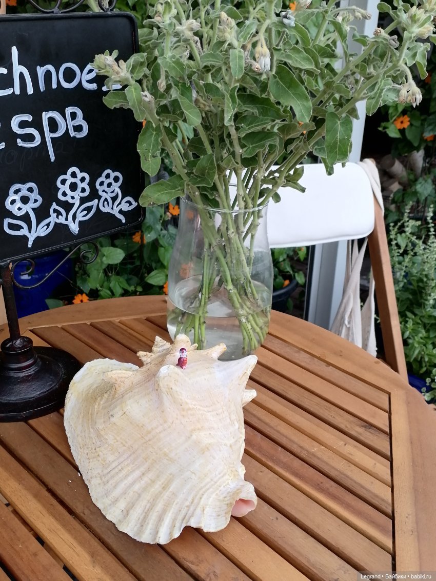 Лурения - Петербург: Птица и Отто в Парадном квартале