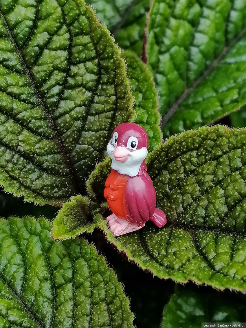 Лурения - Петербург: Птица и Отто в Парадном квартале