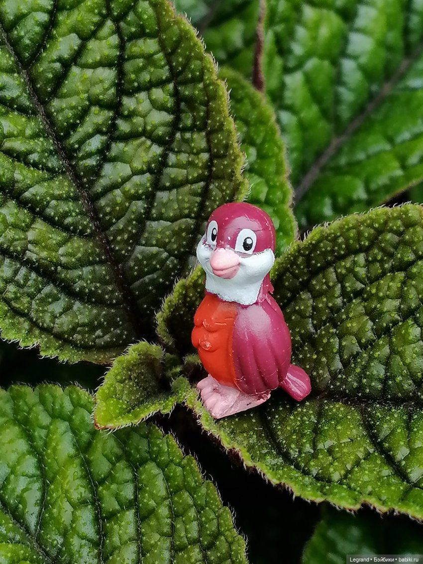 Лурения - Петербург: Птица и Отто в Парадном квартале