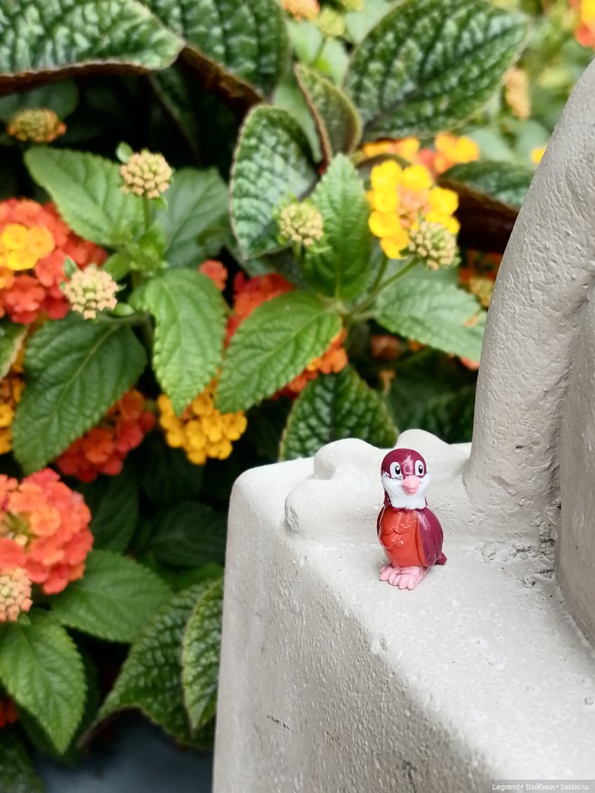 Лурения - Петербург: Птица и Отто в Парадном квартале (фото 9)