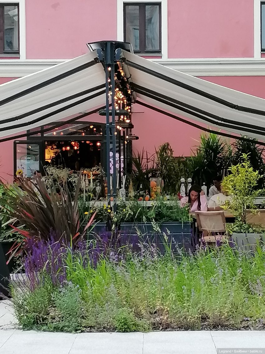 Санкт-Петербург: снова городские цветы (фото 9)