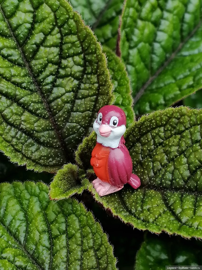 Лурения - Петербург: Птица и Отто в Парадном квартале