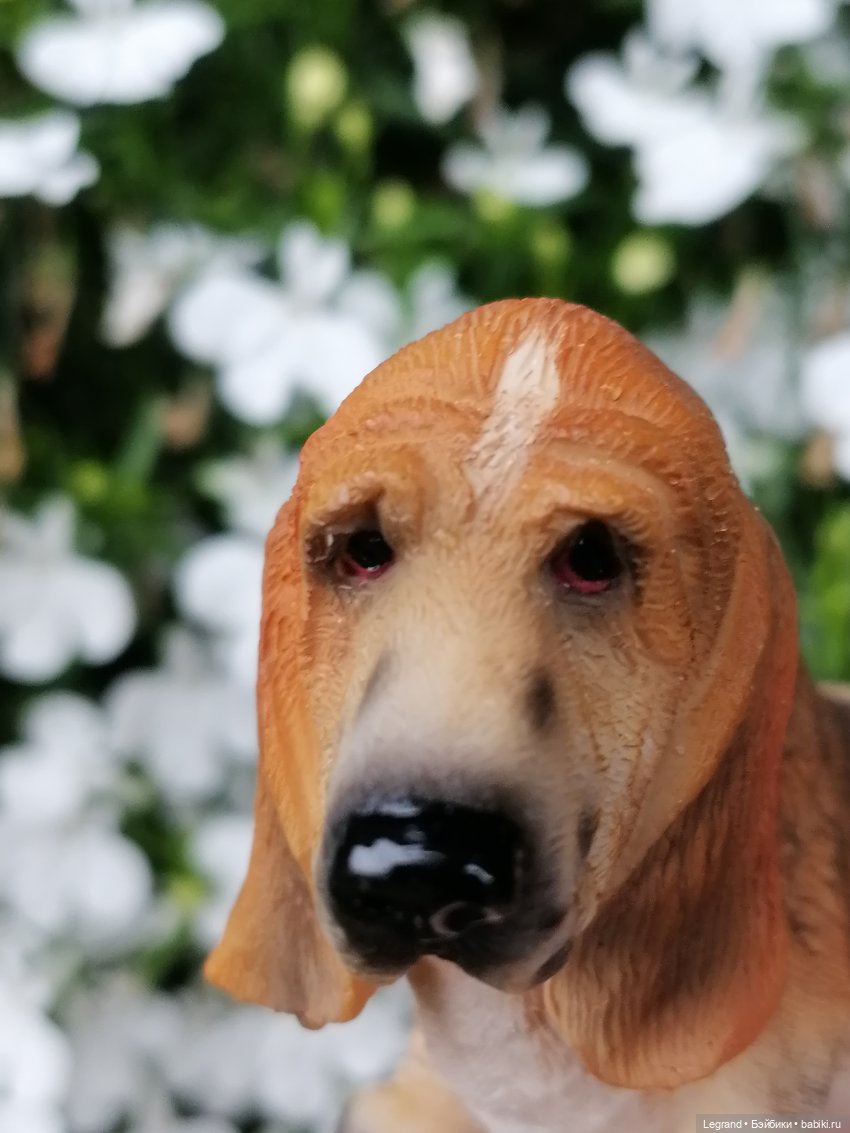 Лурения - Петербург: Птица и Отто в Парадном квартале