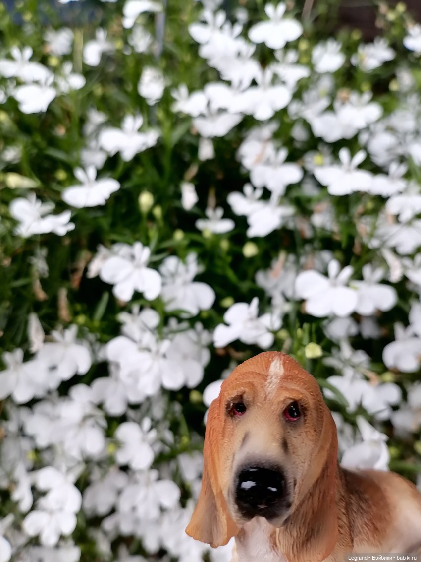 Лурения - Петербург: Птица и Отто в Парадном квартале