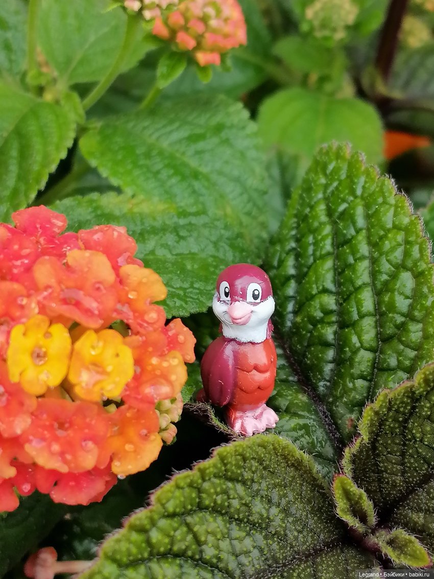 Лурения - Петербург: Птица и Отто в Парадном квартале