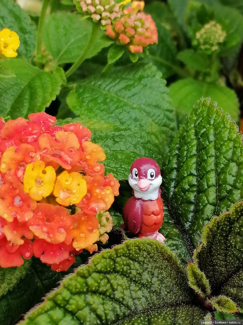 Лурения - Петербург: Птица и Отто в Парадном квартале