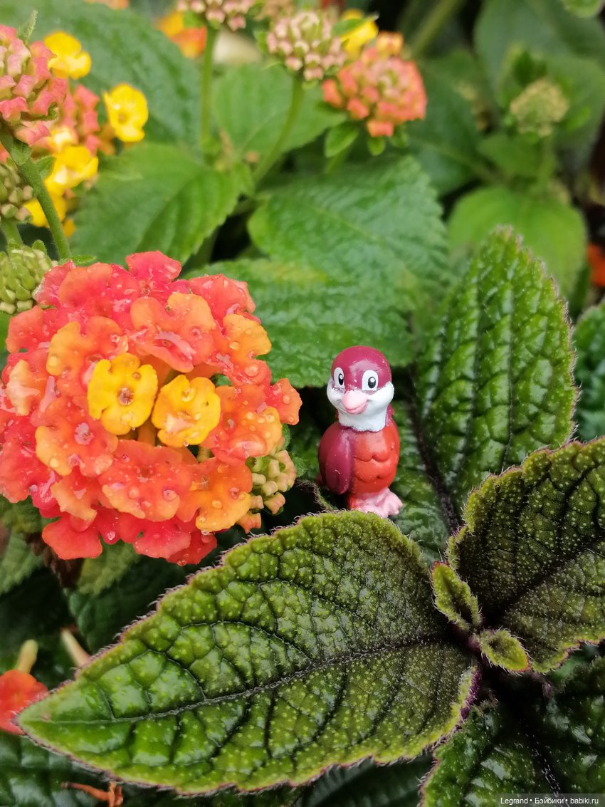 Лурения - Петербург: Птица и Отто в Парадном квартале