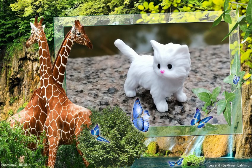 Лурения: семья кошки Шекер🐈