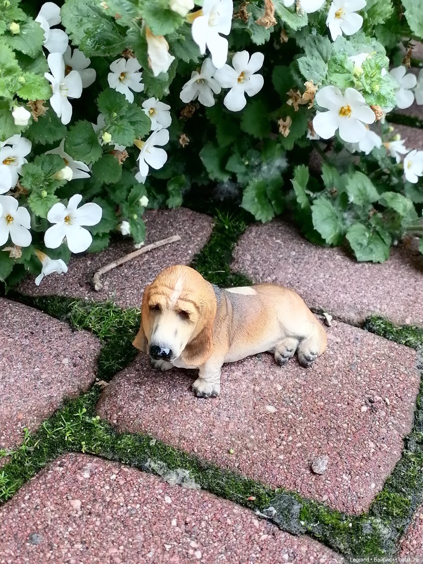 Лурения - Петербург: Птица и Отто в Парадном квартале