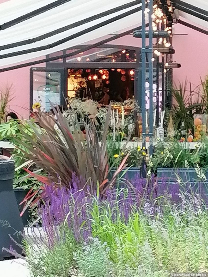 Санкт-Петербург: снова городские цветы (фото 10)