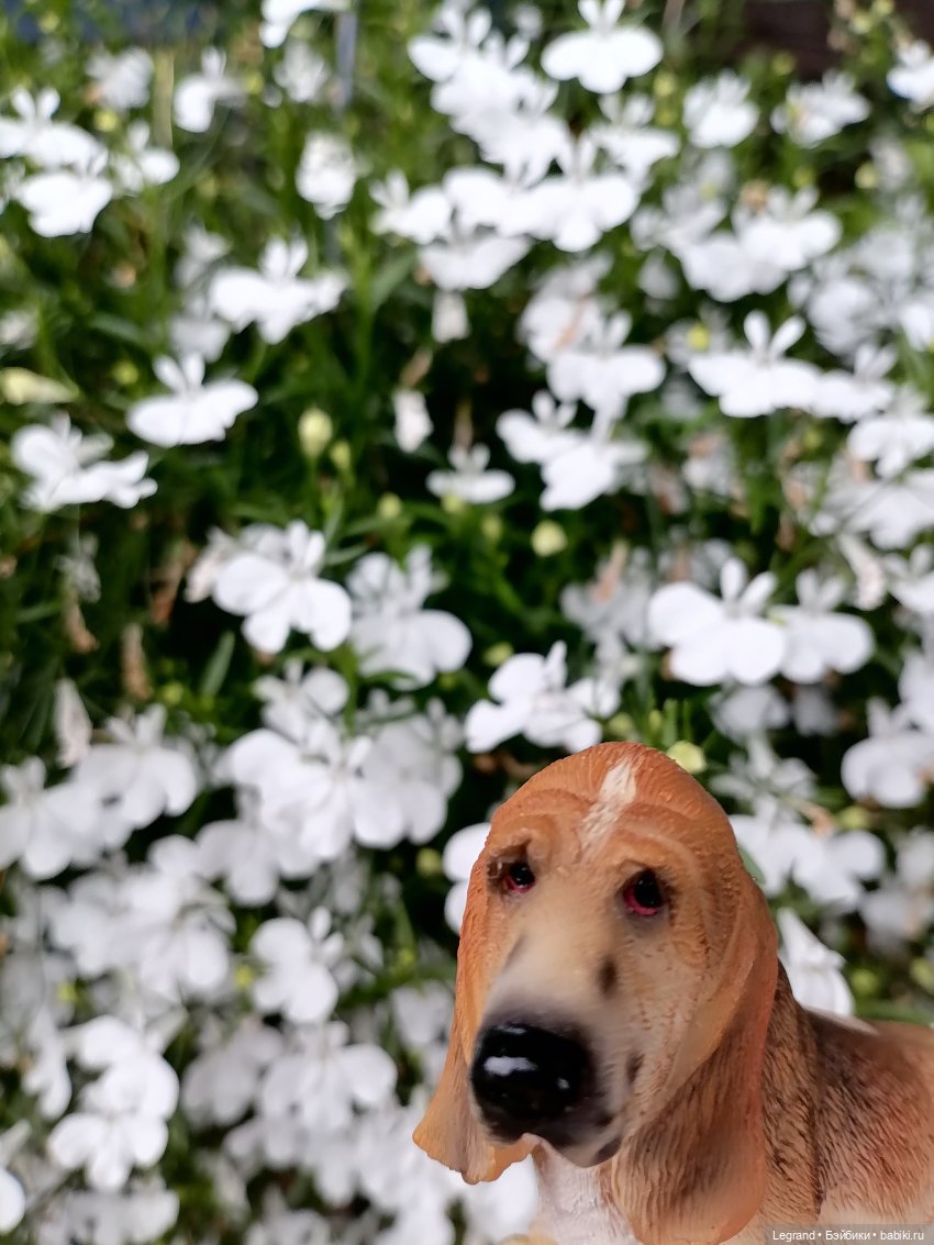 Лурения - Петербург: Птица и Отто в Парадном квартале