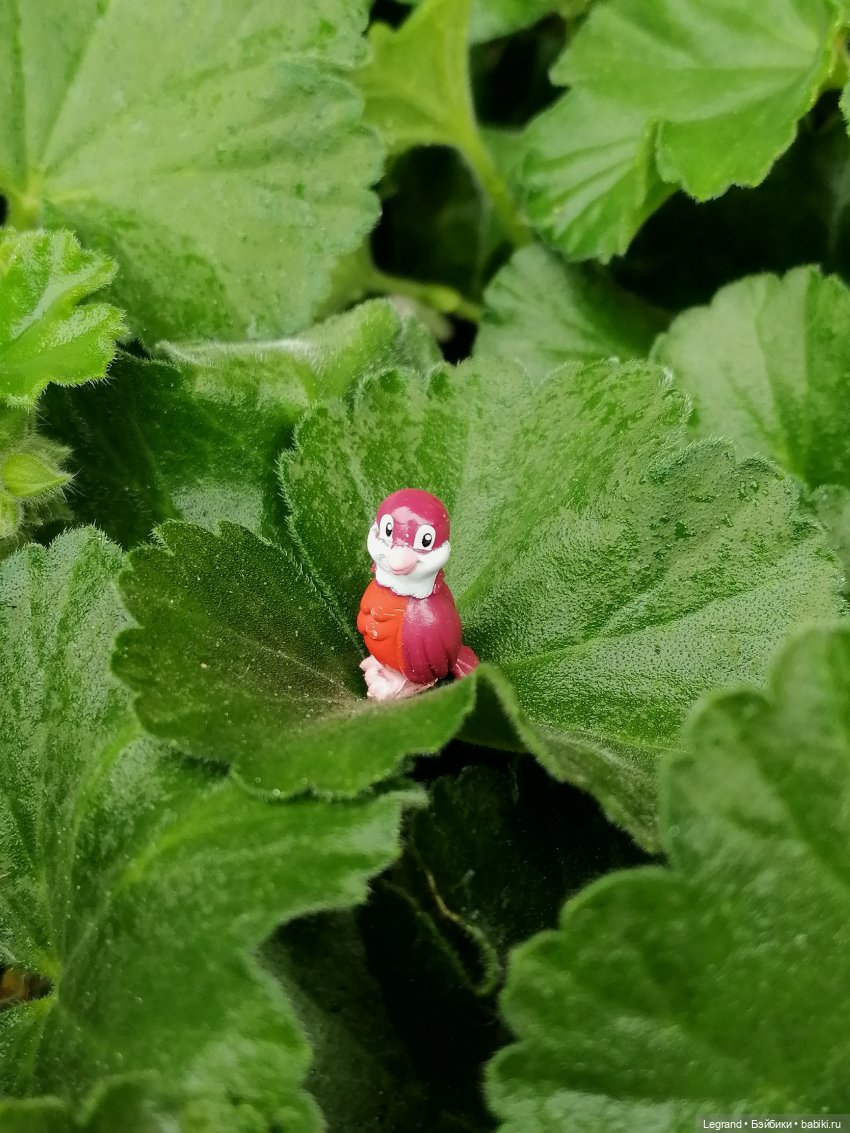 Лурения - Петербург: Птица и Отто в Парадном квартале