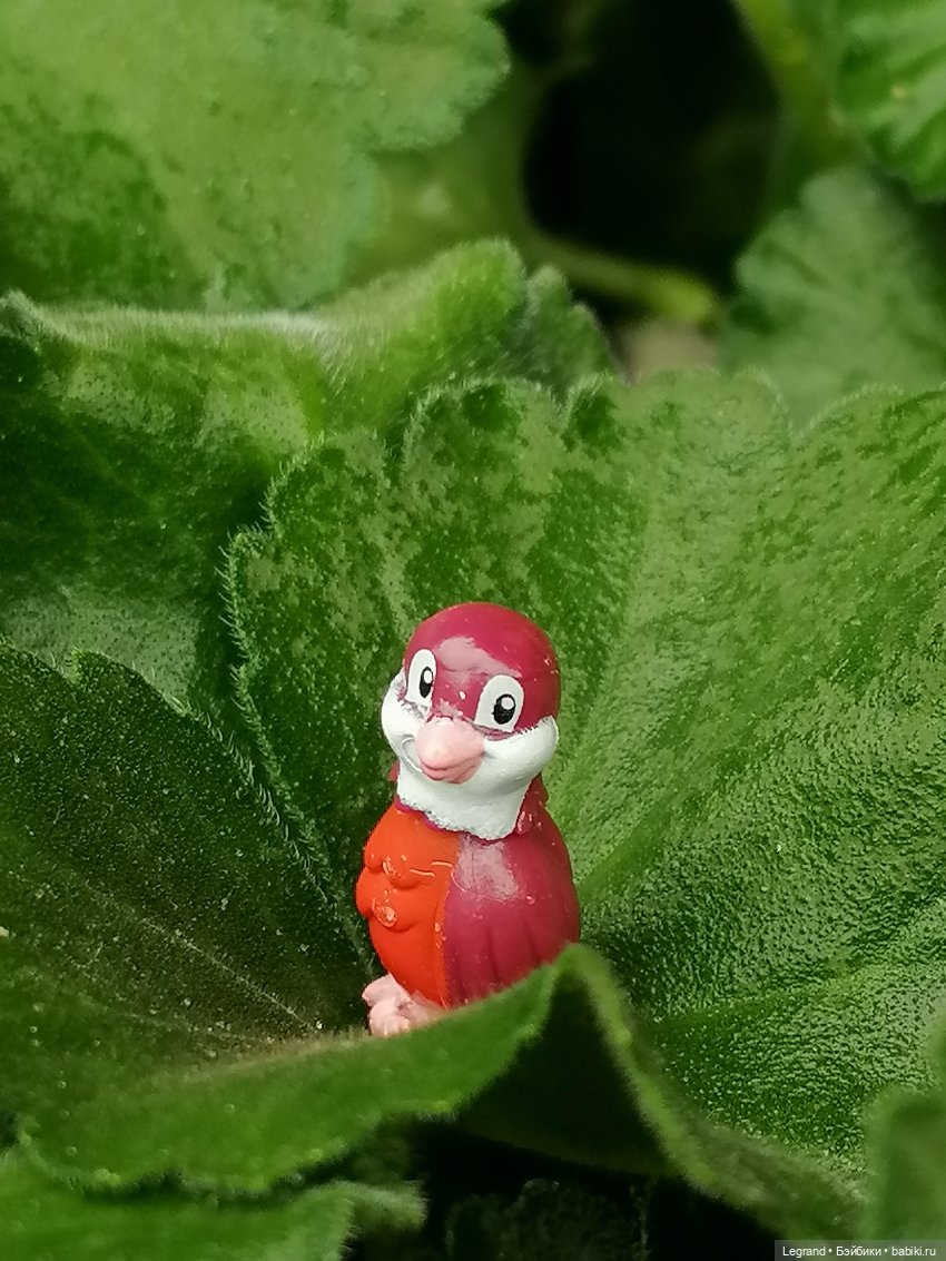 Лурения - Петербург: Птица и Отто в Парадном квартале