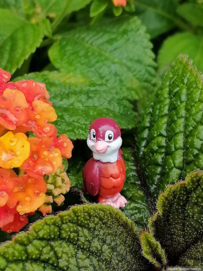 Лурения - Петербург: Птица и Отто в Парадном квартале