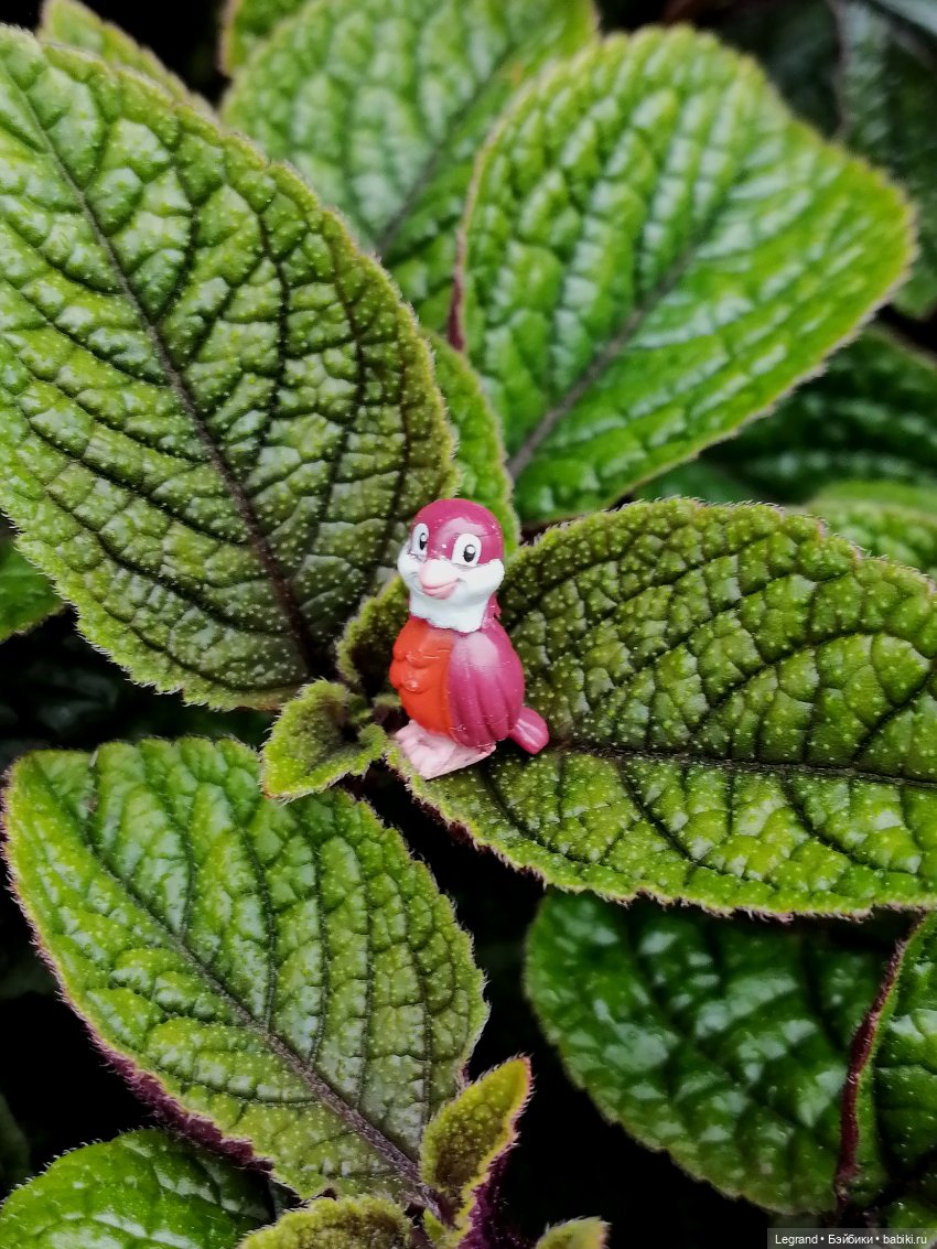 Лурения - Петербург: Птица и Отто в Парадном квартале