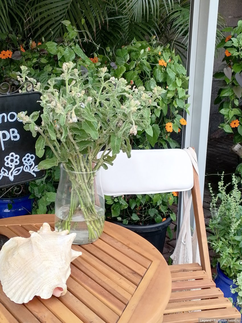 Лурения - Петербург: Птица и Отто в Парадном квартале (фото 3)