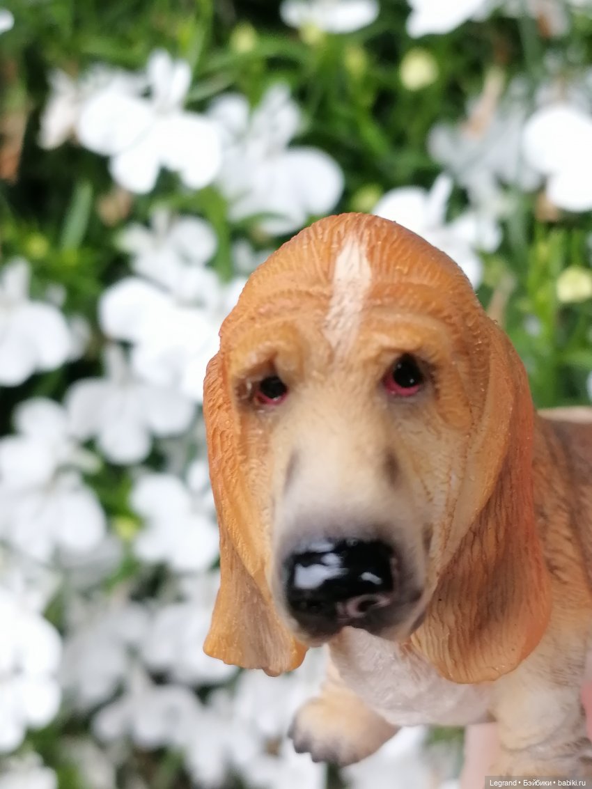 Лурения - Петербург: Птица и Отто в Парадном квартале