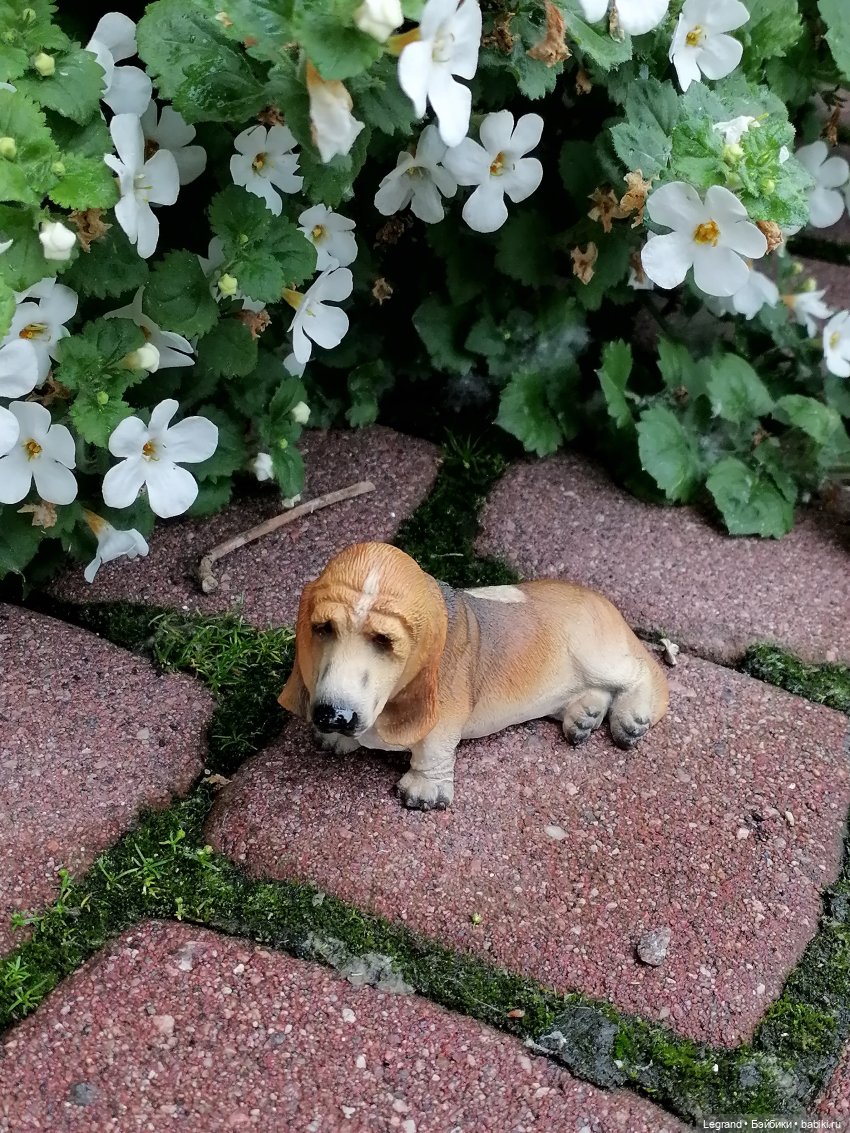 Лурения - Петербург: Птица и Отто в Парадном квартале