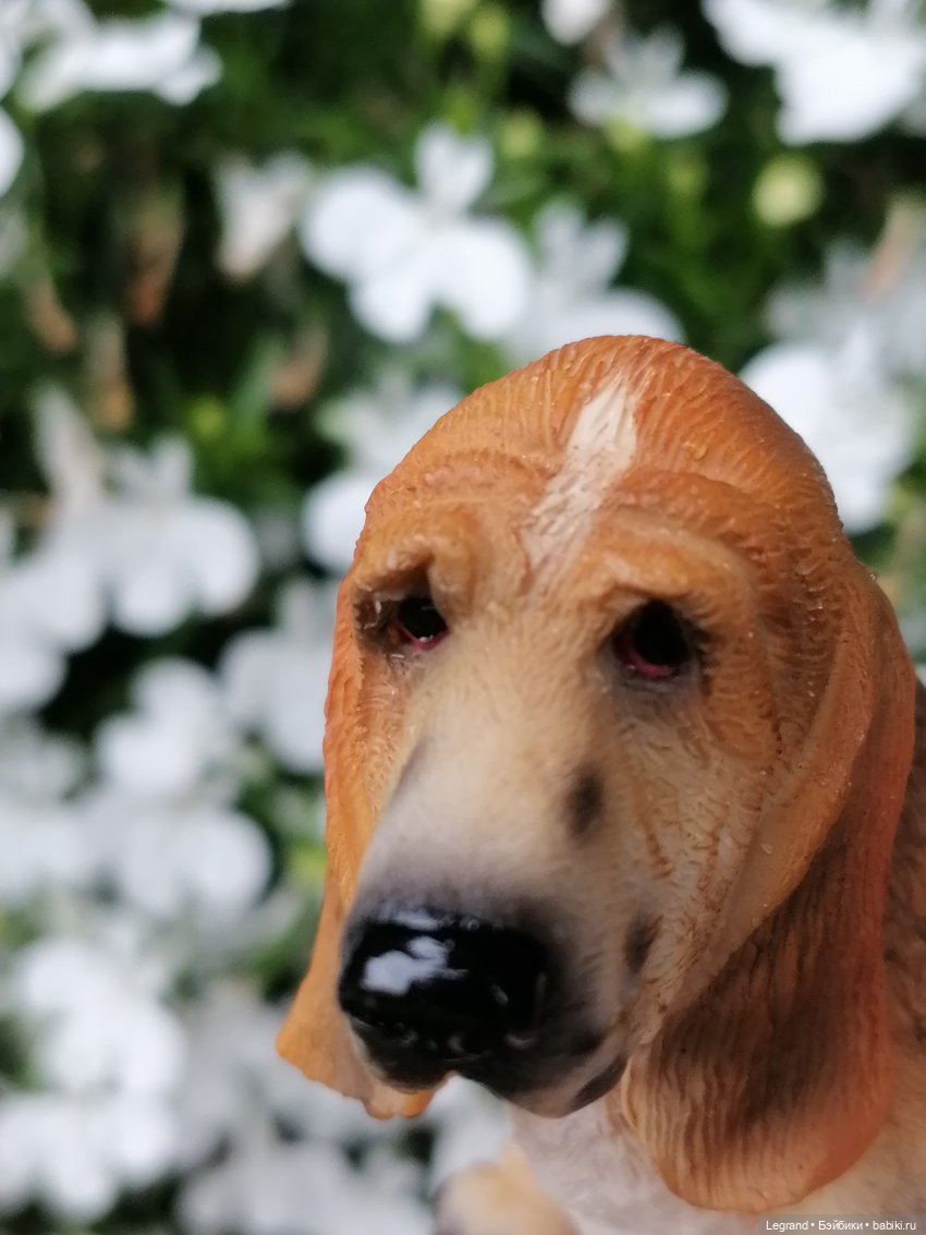 Лурения - Петербург: Птица и Отто в Парадном квартале