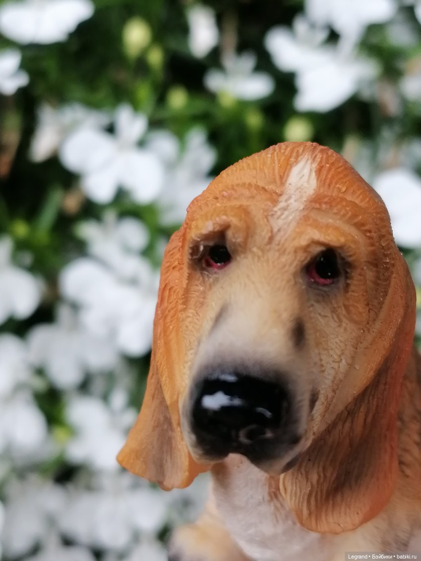 Лурения - Петербург: Птица и Отто в Парадном квартале