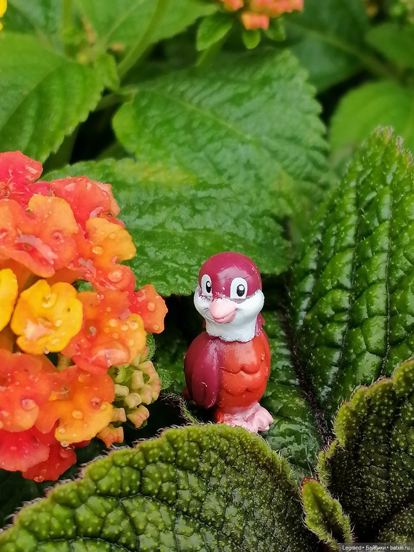 Лурения - Петербург: Птица и Отто в Парадном квартале