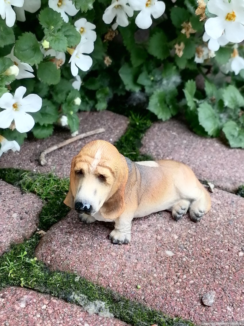 Лурения - Петербург: Птица и Отто в Парадном квартале