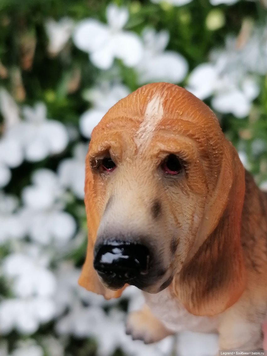 Лурения - Петербург: Птица и Отто в Парадном квартале