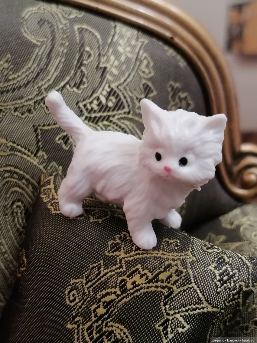 Лурения - День котят с Кадиром и Люкрес (фото 9)