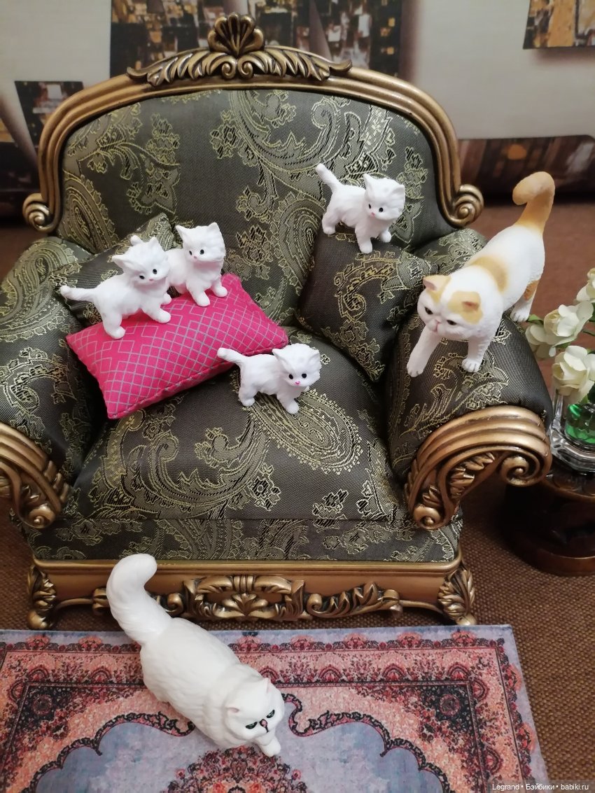 Лурения - День котят с Кадиром и Люкрес