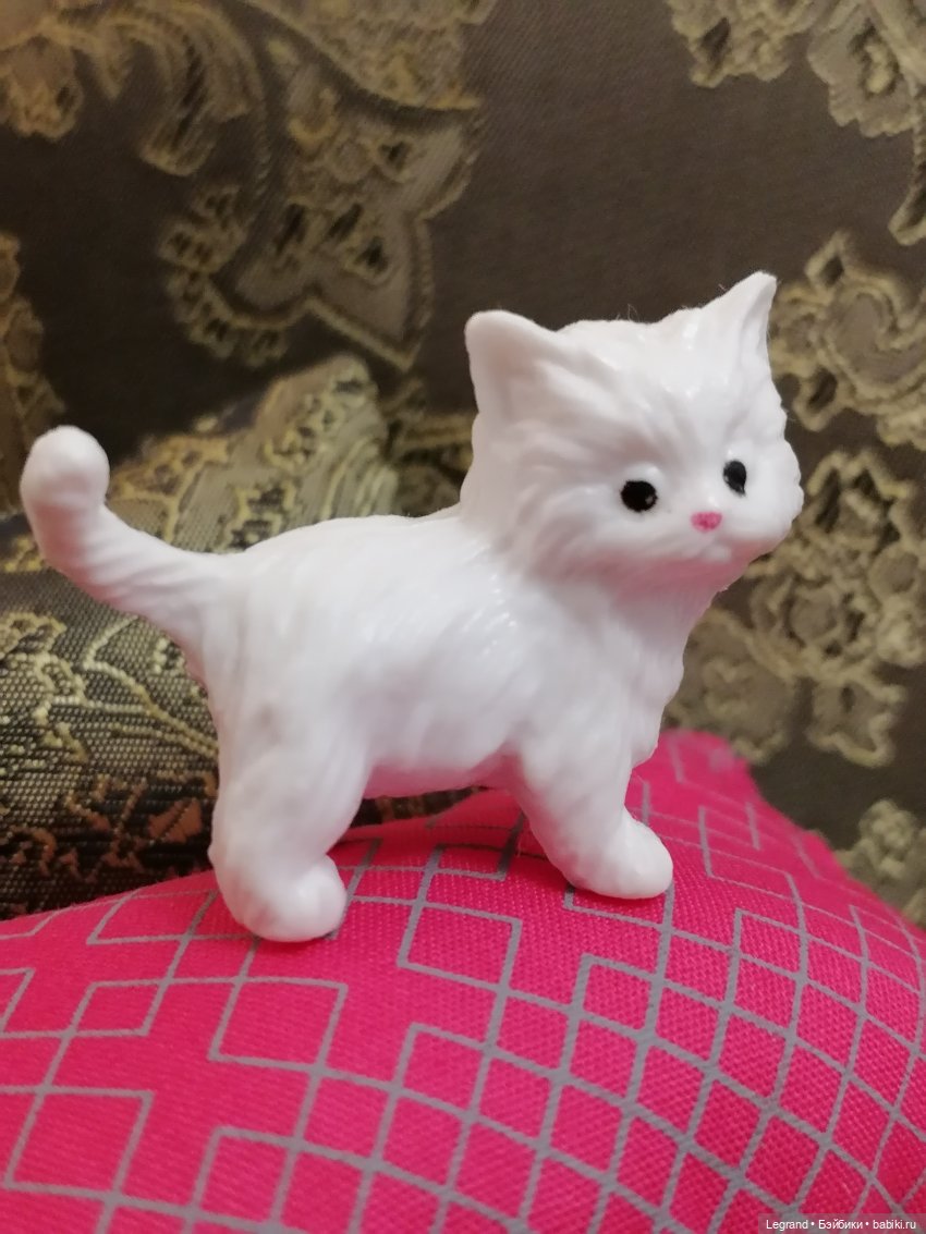 Лурения - День котят с Кадиром и Люкрес