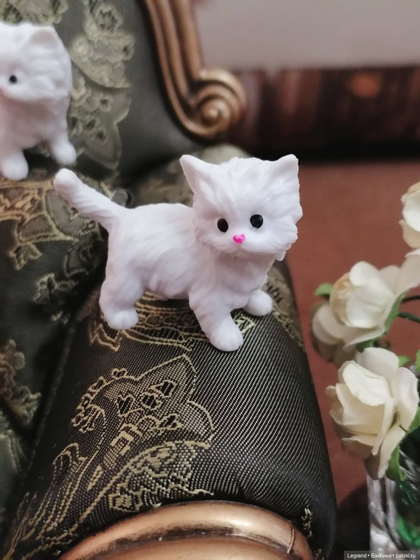 Лурения - День котят с Кадиром и Люкрес (фото 6)