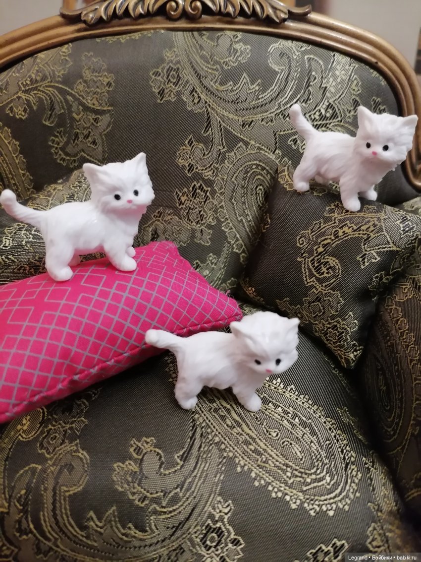 Лурения - День котят с Кадиром и Люкрес (фото 5)