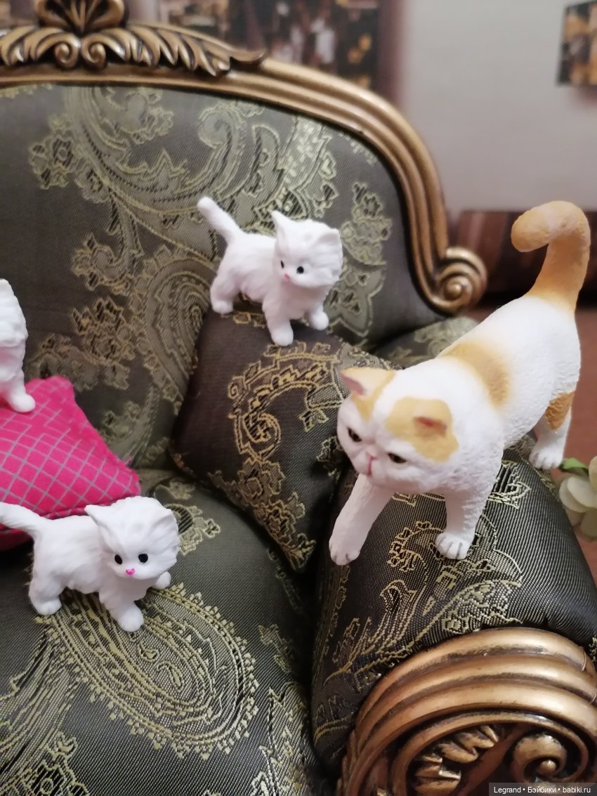 Лурения - День котят с Кадиром и Люкрес