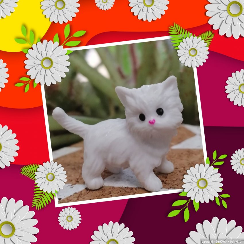 Лурения - День котят с Кадиром и Люкрес