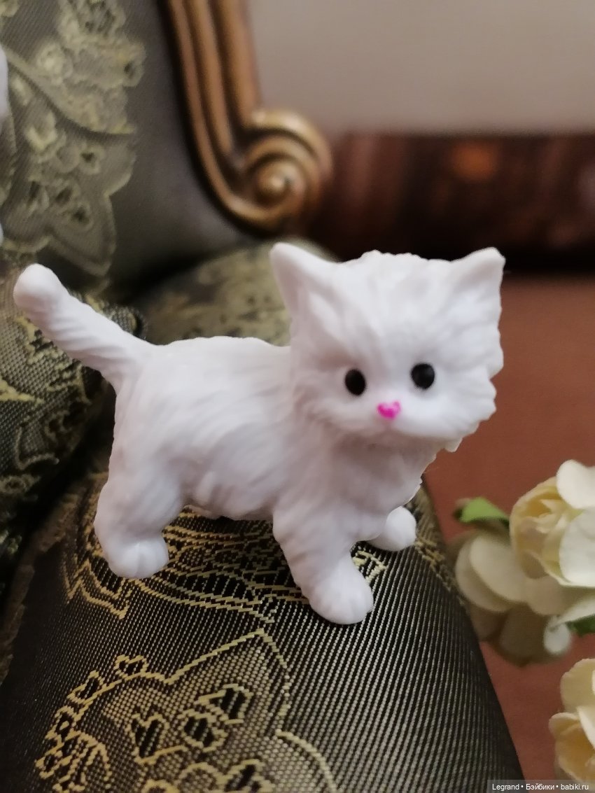 Лурения - День котят с Кадиром и Люкрес (фото 7)