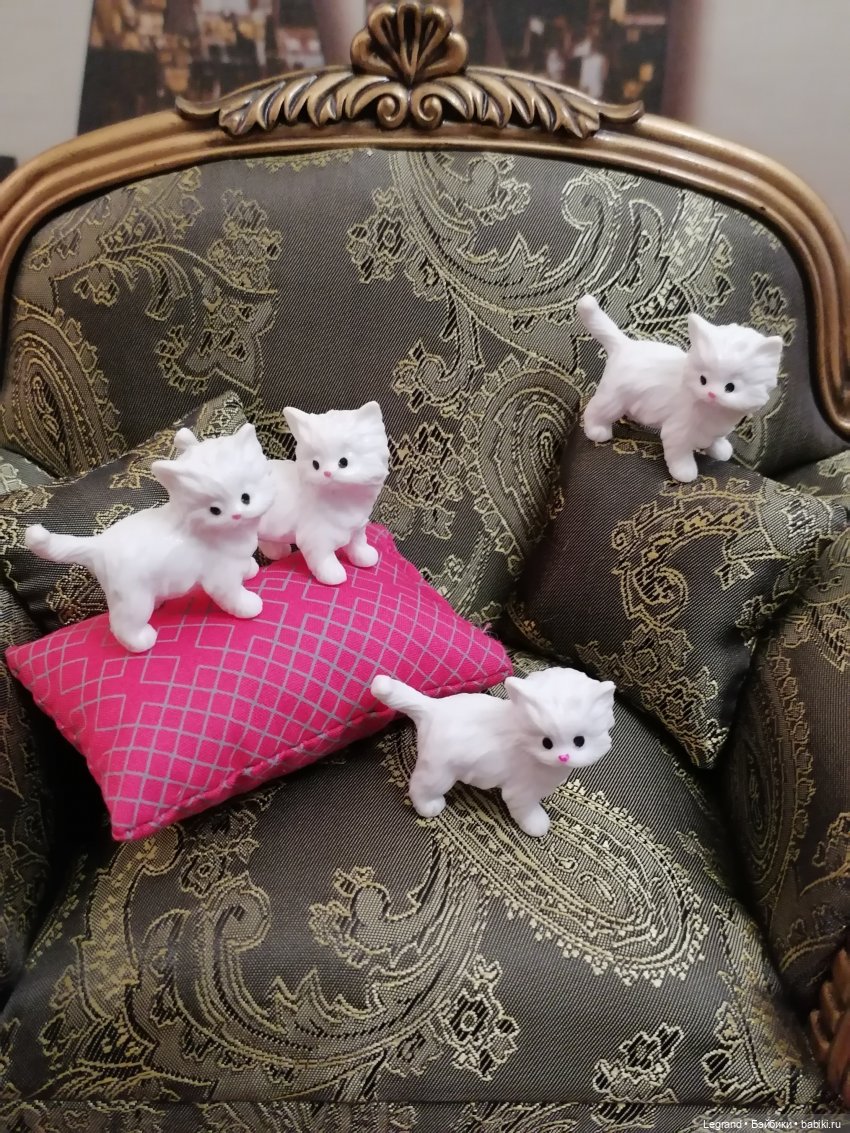 Лурения - День котят с Кадиром и Люкрес (фото 3)