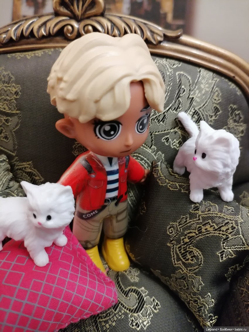 Лурения - День котят с Кадиром и Люкрес